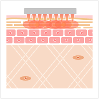 波長：500nm～950nm